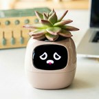 Smart Flower Pot - Interactive & Self-Caring Plant Companion