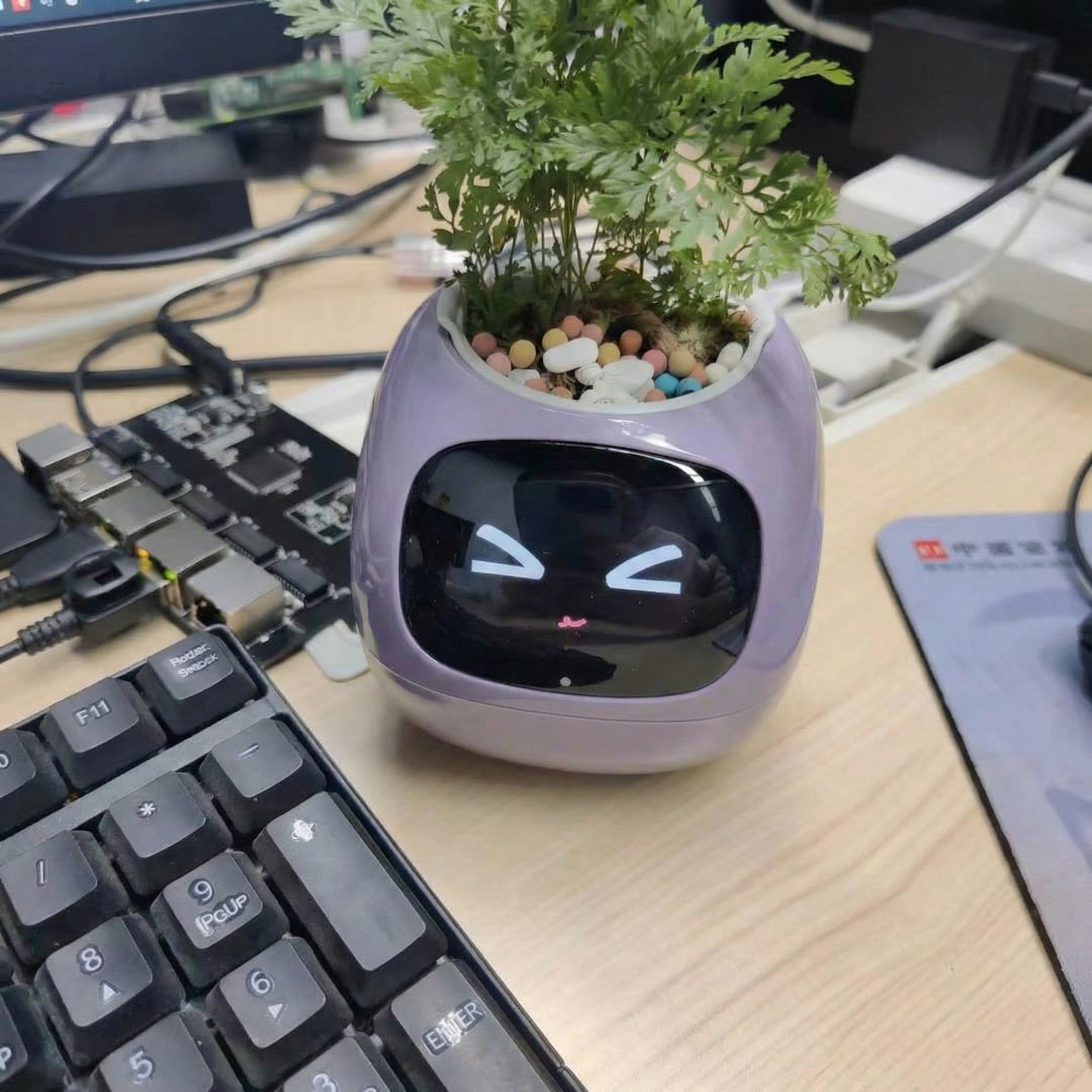 Smart Flower Pot - Interactive & Self-Caring Plant Companion