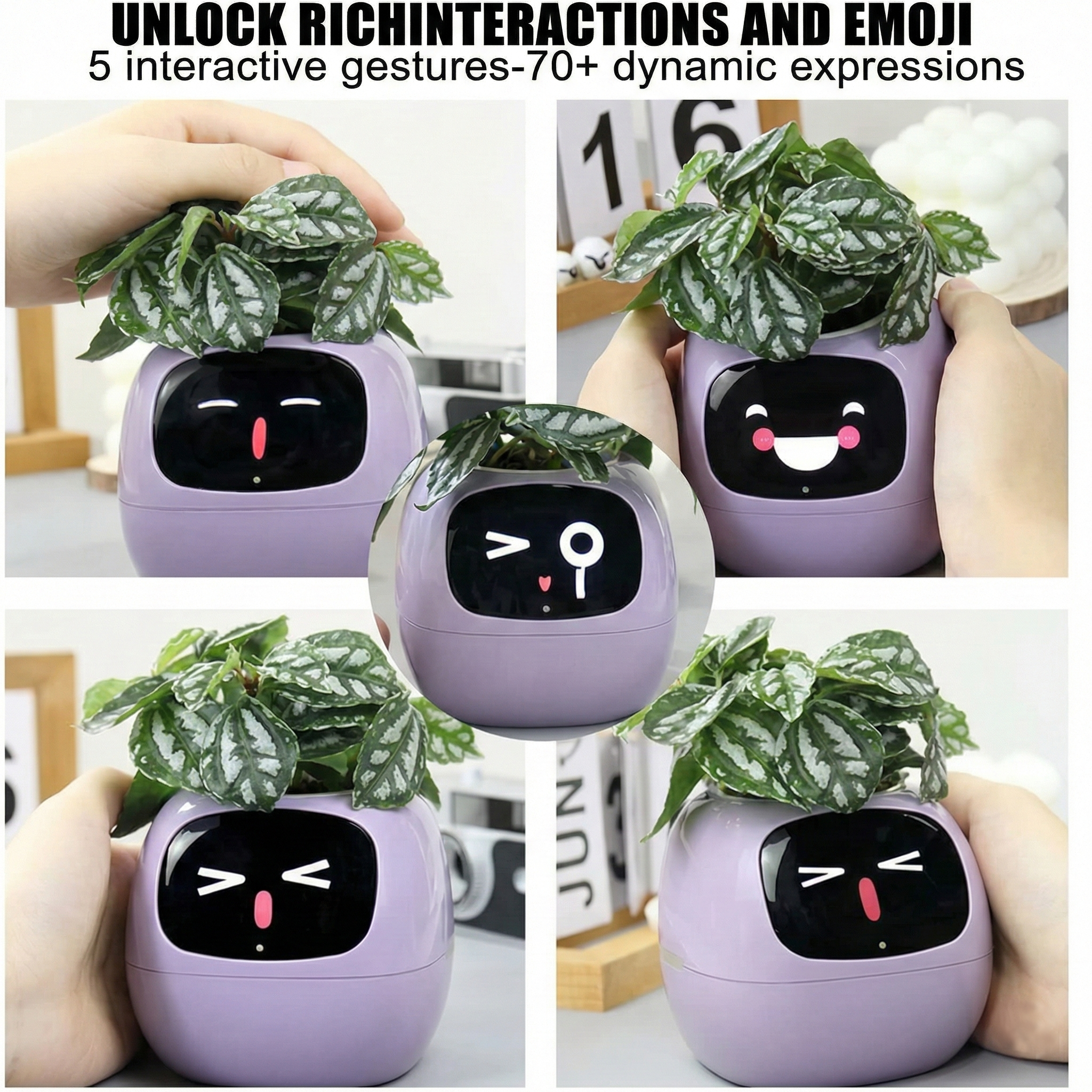 Smart Flower Pot - Interactive & Self-Caring Plant Companion