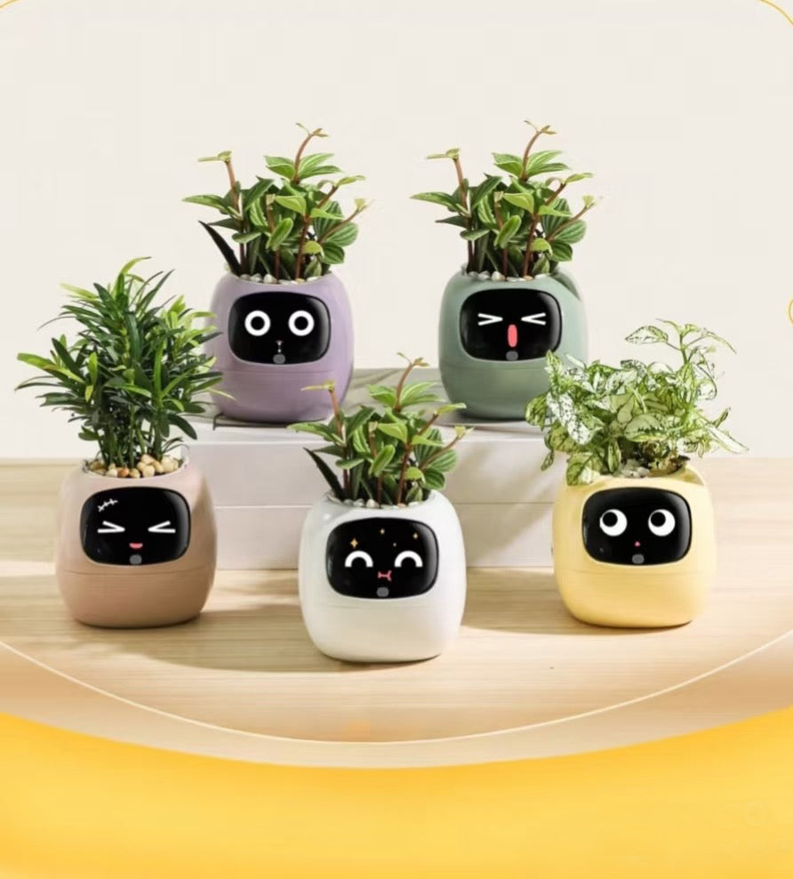 Smart Flower Pot - Interactive & Self-Caring Plant Companion